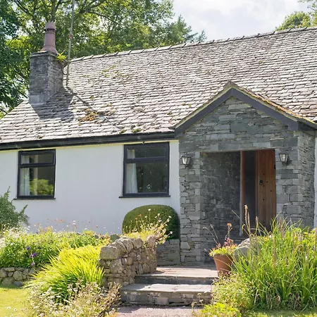 Lookin ドックレー